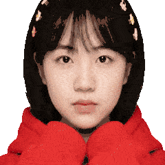 写方案